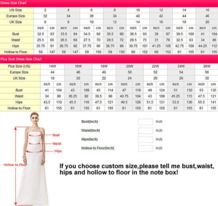 Anneprom V Neck Tulle Long Ball Gown Prom Dress, Formal Evening Dress APP0342