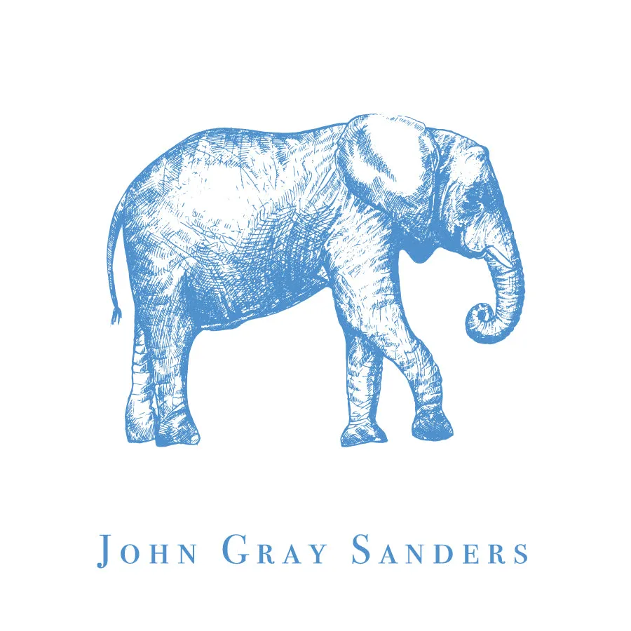 Blue Safari Toile Calling Card