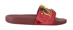 Bordeaux Velvet DG Logo Crystal Slides