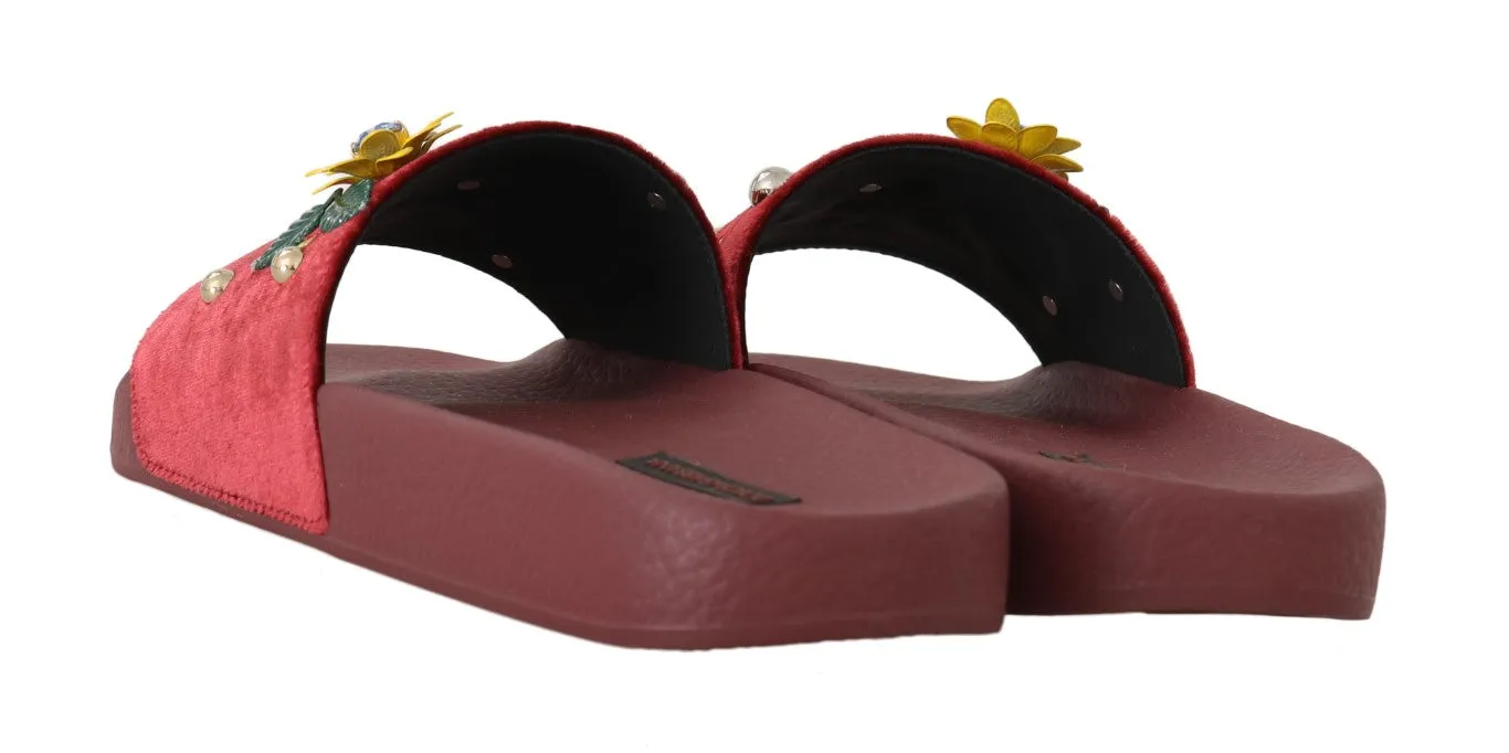 Bordeaux Velvet DG Logo Crystal Slides
