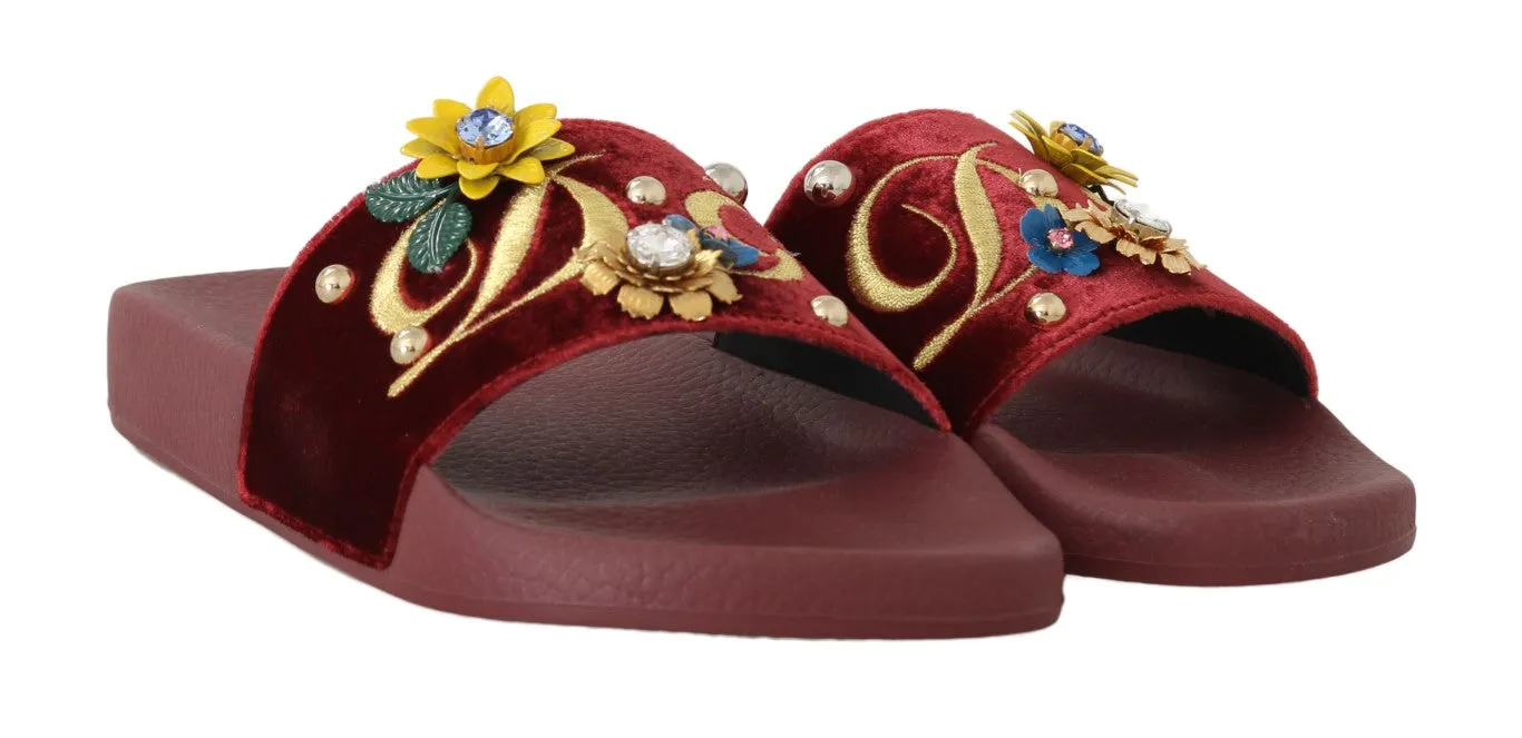 Bordeaux Velvet DG Logo Crystal Slides