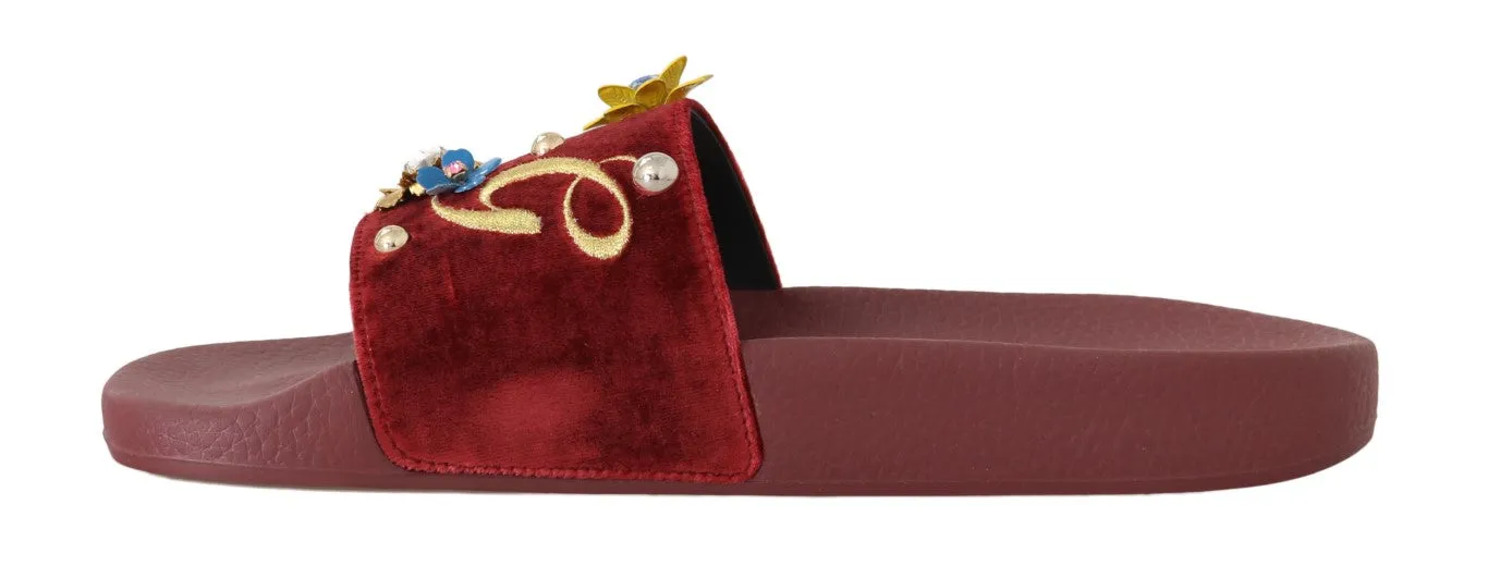 Bordeaux Velvet DG Logo Crystal Slides