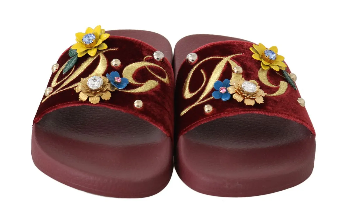 Bordeaux Velvet DG Logo Crystal Slides