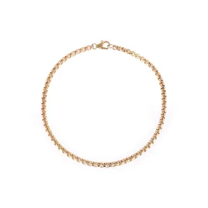 Box Chain Anklet - 14K Gold Filled