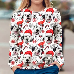 Dalmatian - Xmas Decor - Premium Sweatshirt