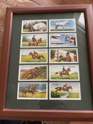 Derby Entrants 1938 Cigarette Cards by Ogdens Set of 10  Framed