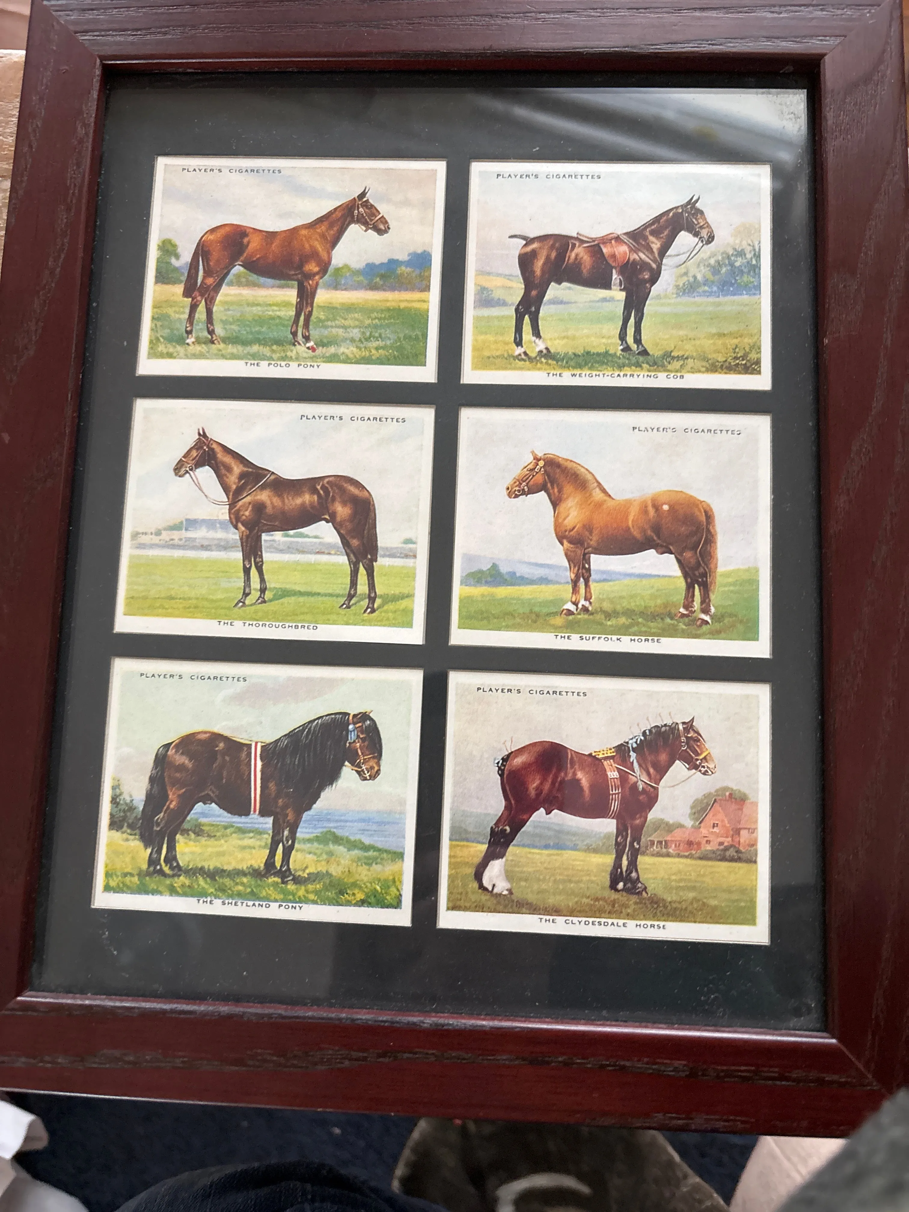 Derby Entrants 1939 Cigarette Cards by Ogdens Set of 6  Framed