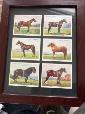 Derby Entrants 1939 Cigarette Cards by Ogdens Set of 6  Framed
