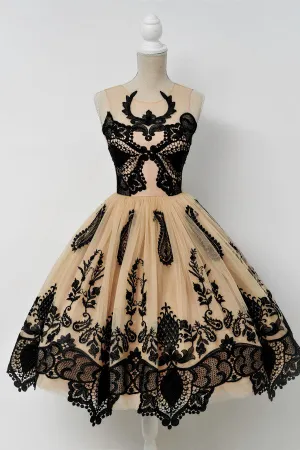 Elegant A-Line Scoop Sleeveless Tulle Vintage Style Homecoming Dresses With Black Lace OK465