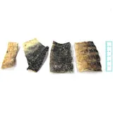 Gator Chews
