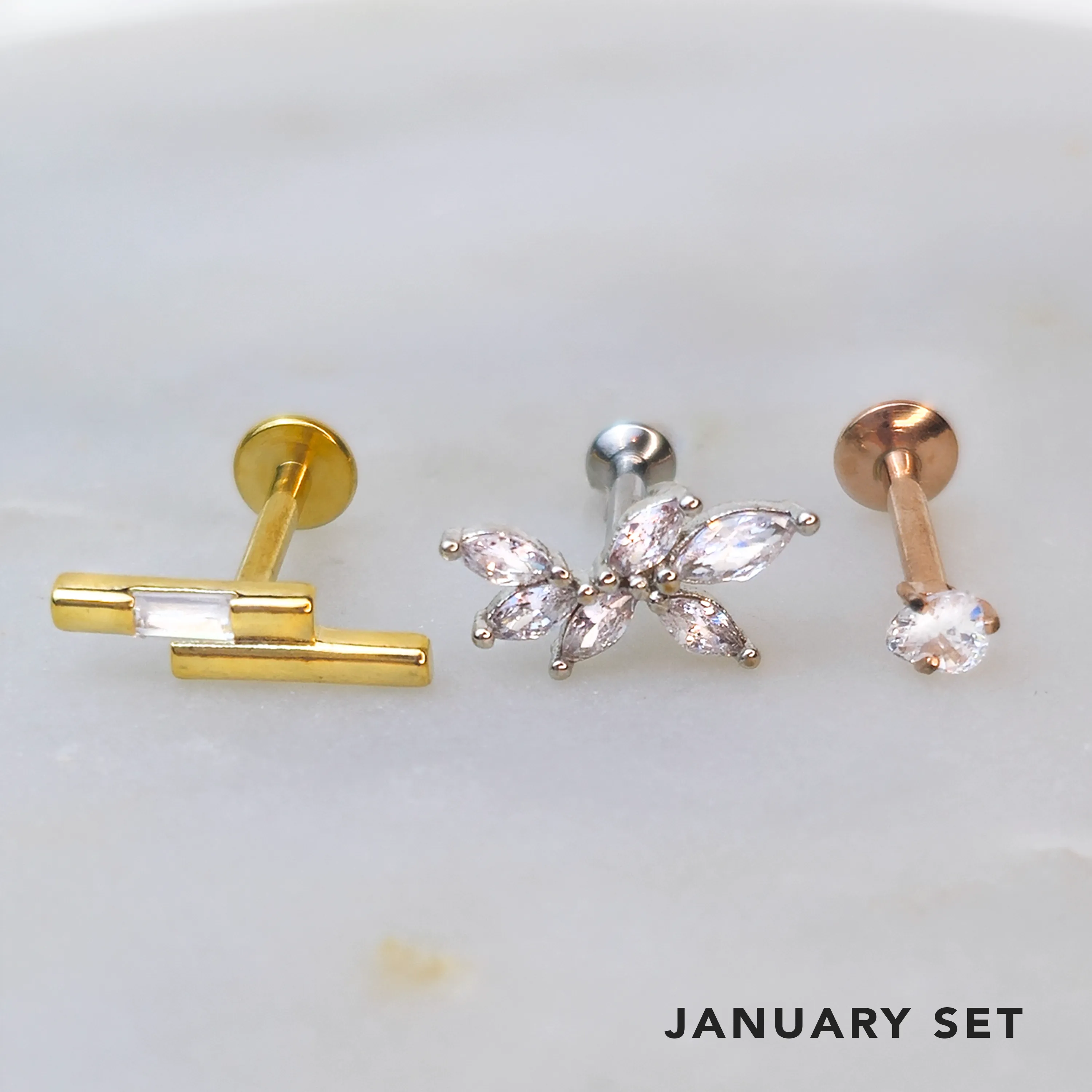 Labret Piercing Monthly Club