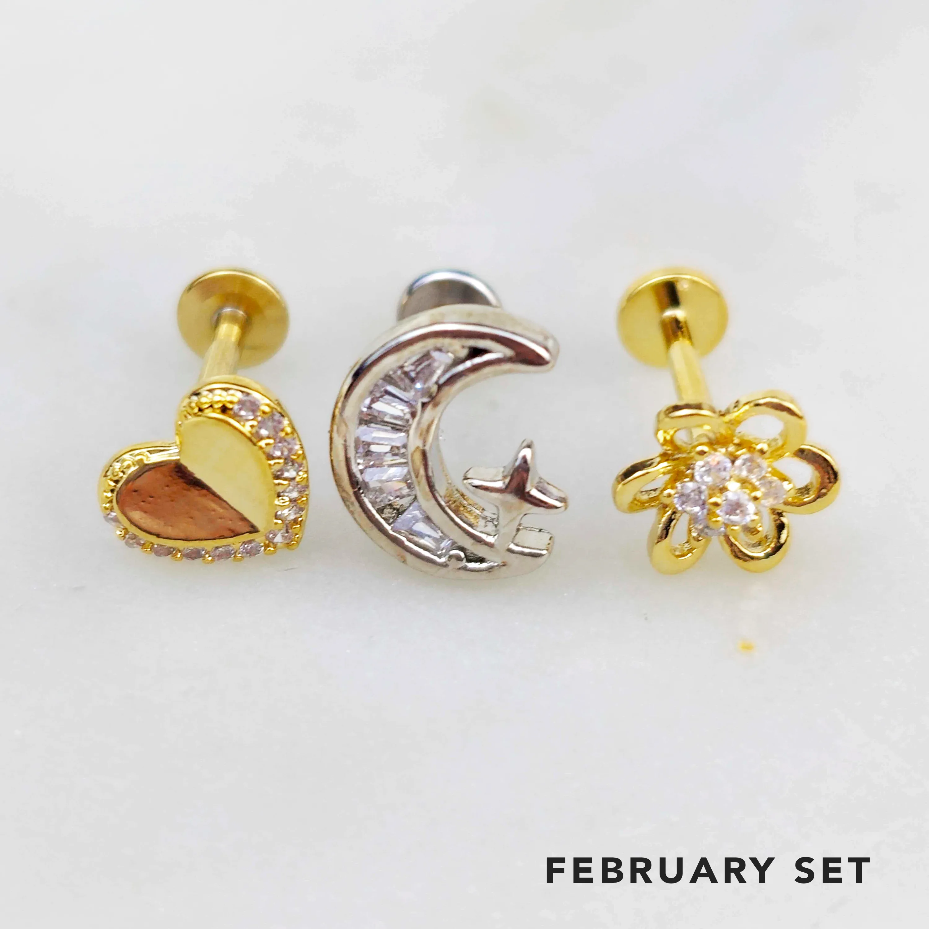 Labret Piercing Monthly Club