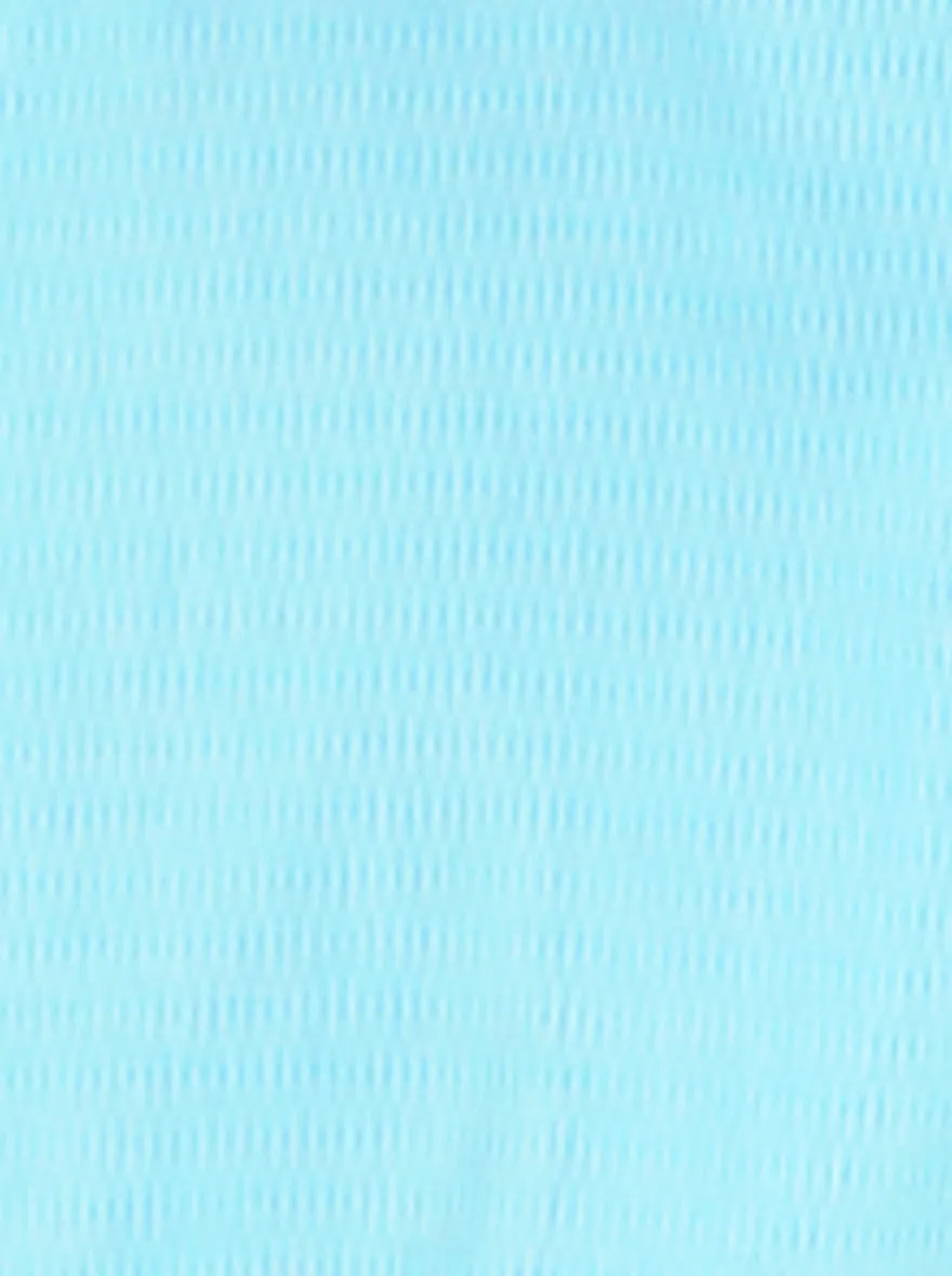 Light Blue Dobby Regular Fit Formal Shirt | JadeBlue