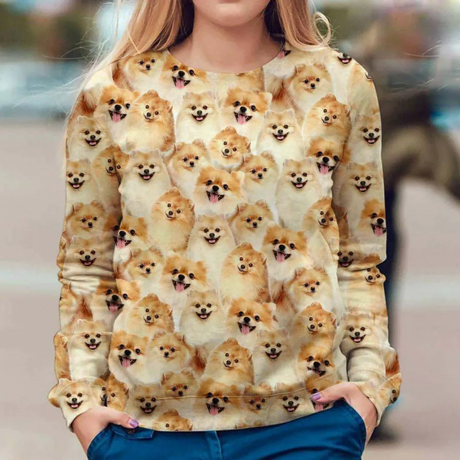 Pomeranian - Full Face - Premium Sweatshirt