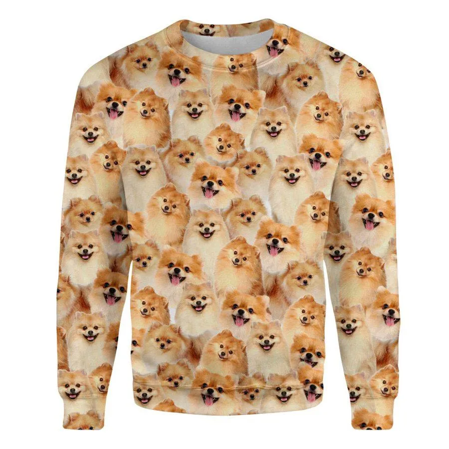 Pomeranian - Full Face - Premium Sweatshirt