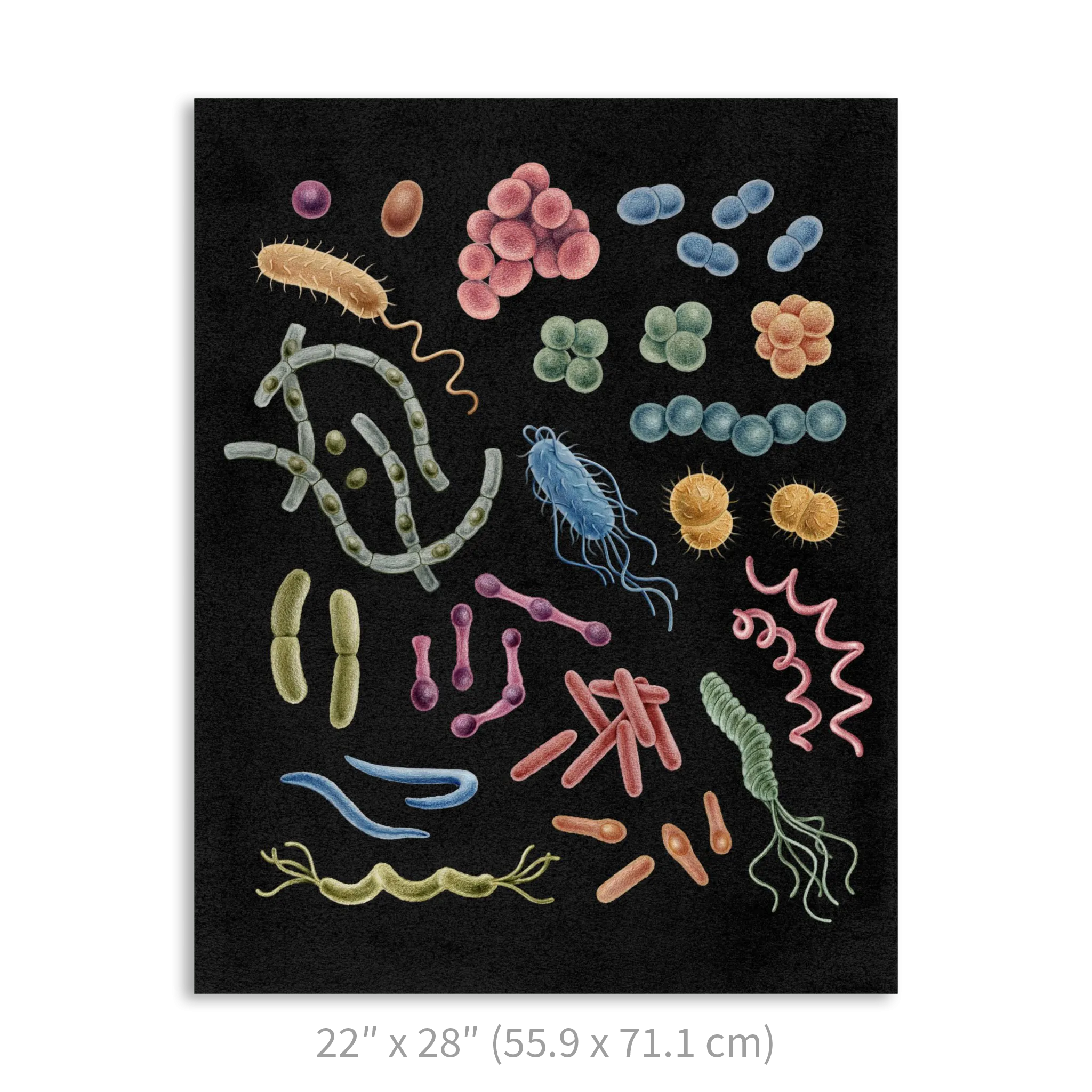 Premium Vertical Art Print- Bacteria