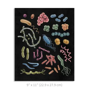 Premium Vertical Art Print- Bacteria