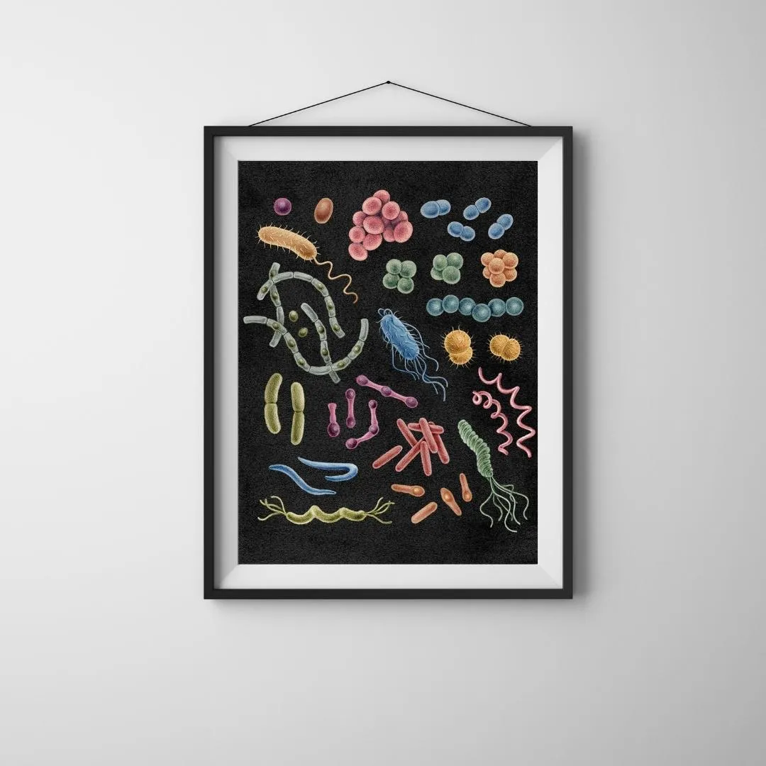Premium Vertical Art Print- Bacteria