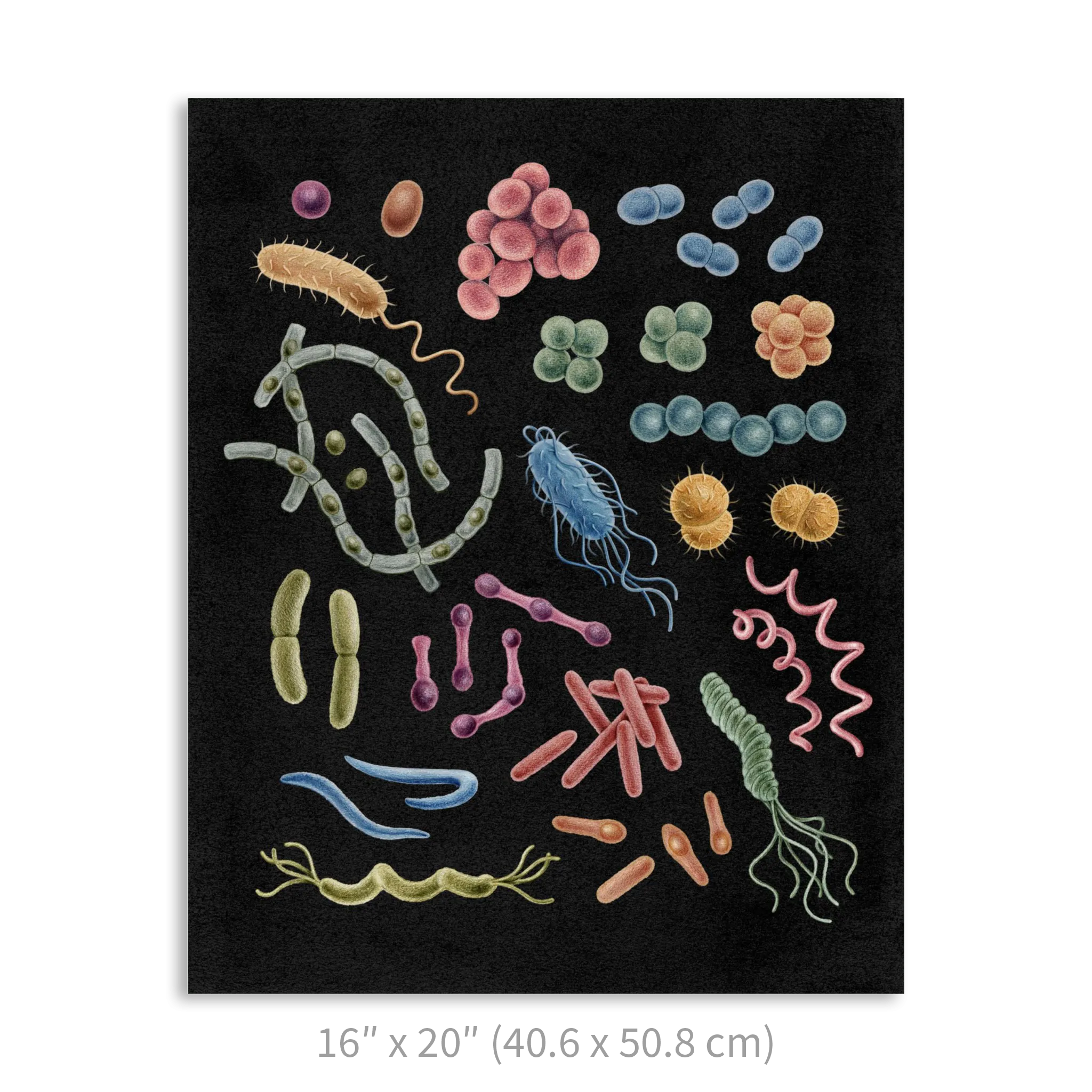 Premium Vertical Art Print- Bacteria