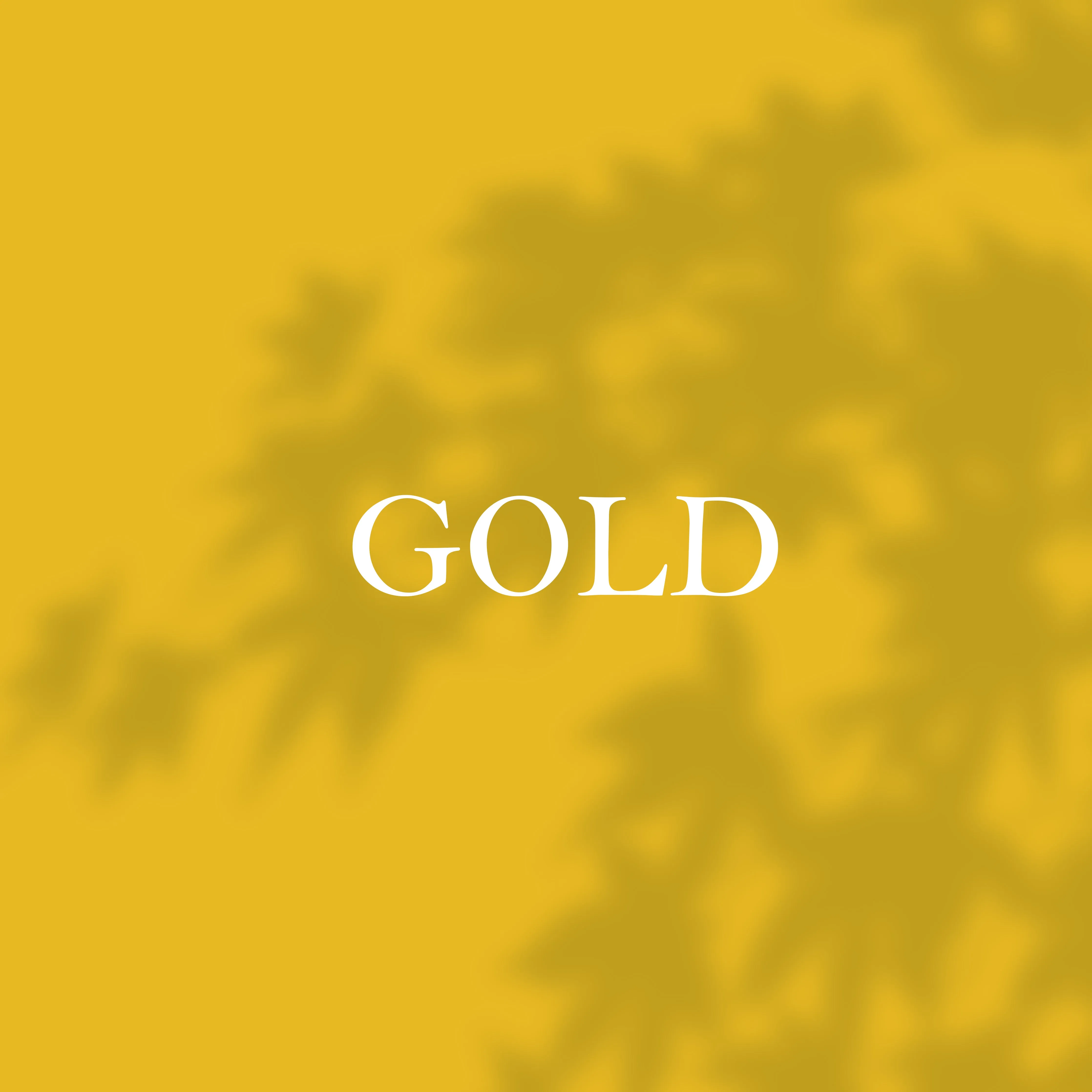 Premium Yard Sign Design Services
