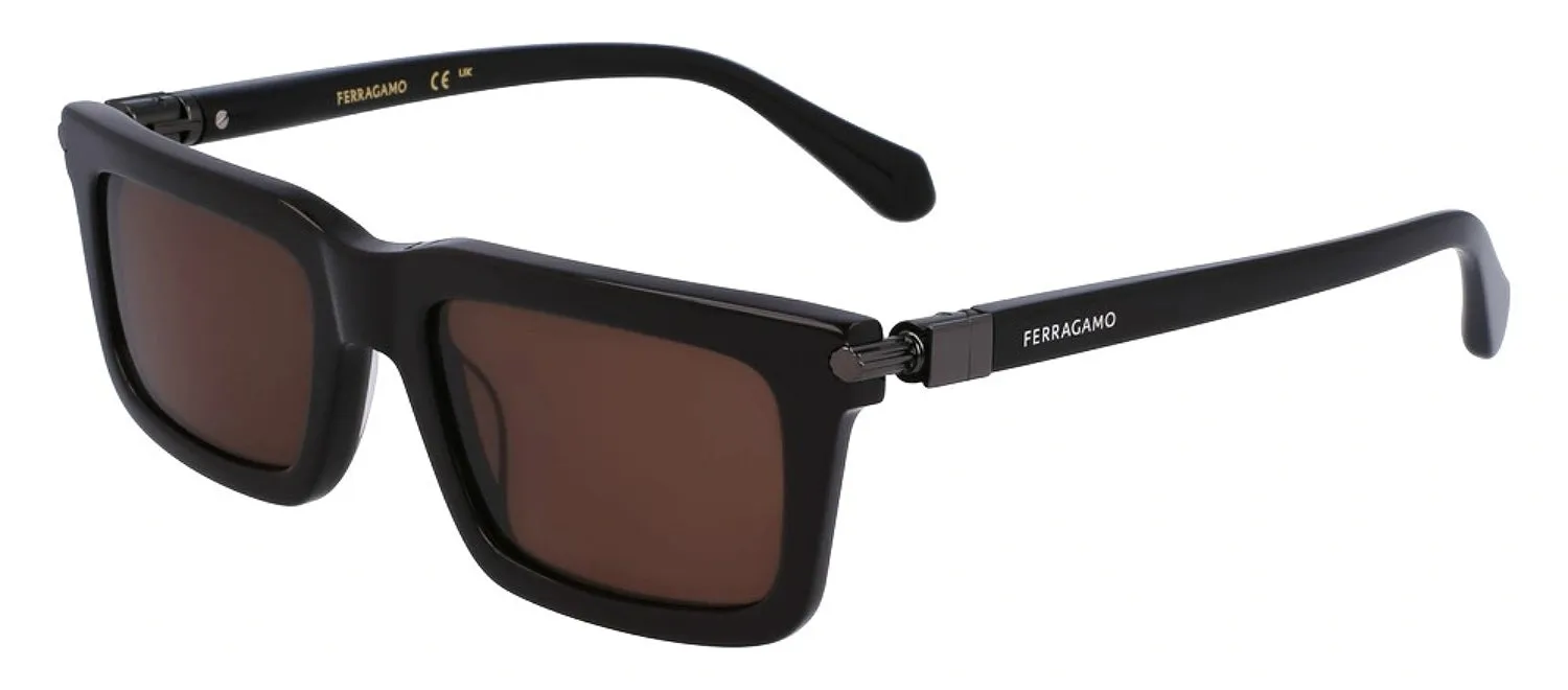 Salvatore Ferragamo SF 2015S 210 Rectangular Plastic Brown Sunglasses with Brown Lens