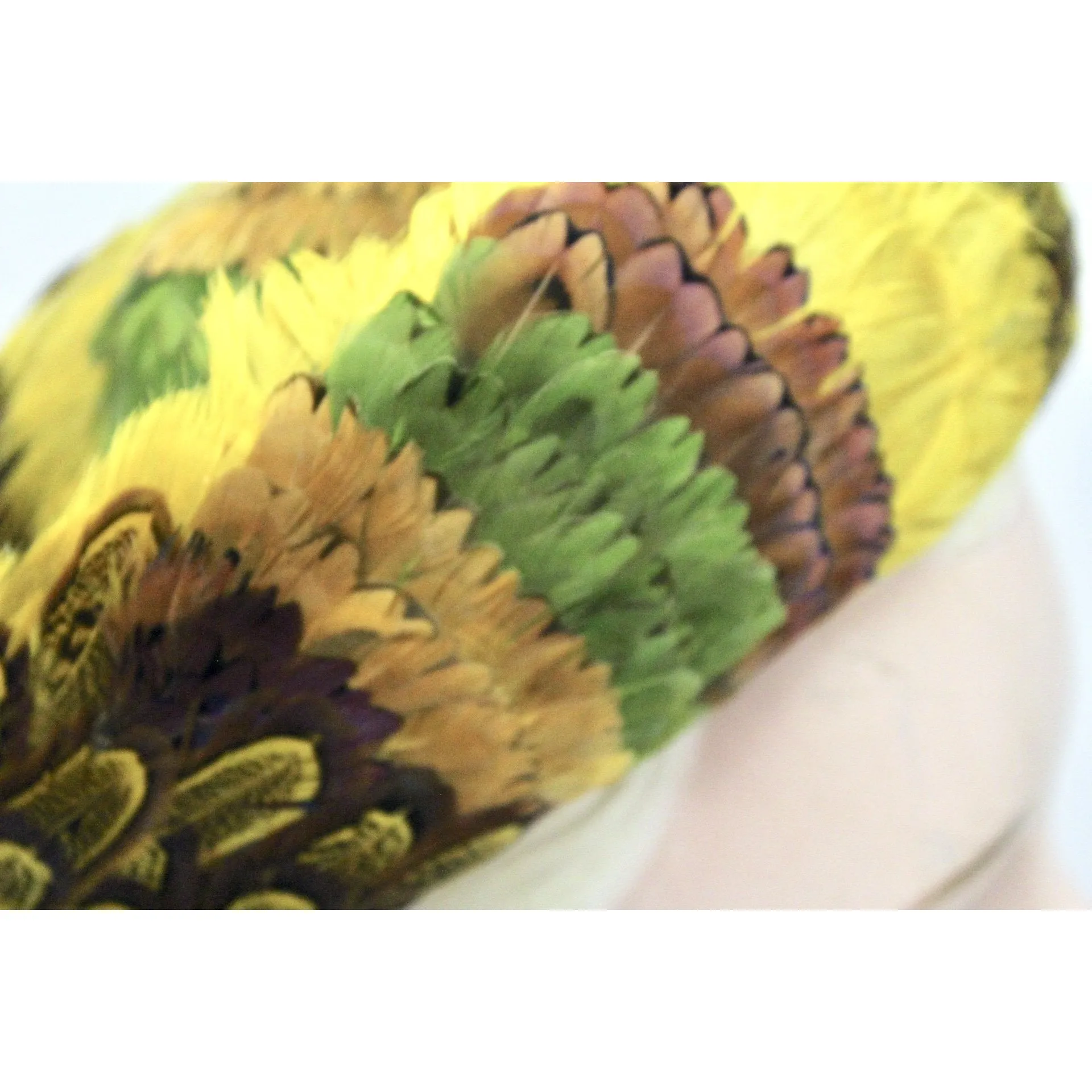 Vintage Womens Feather Pheasant Hat Stunning Gold Breton 21" 1950s Marvelous Maisel