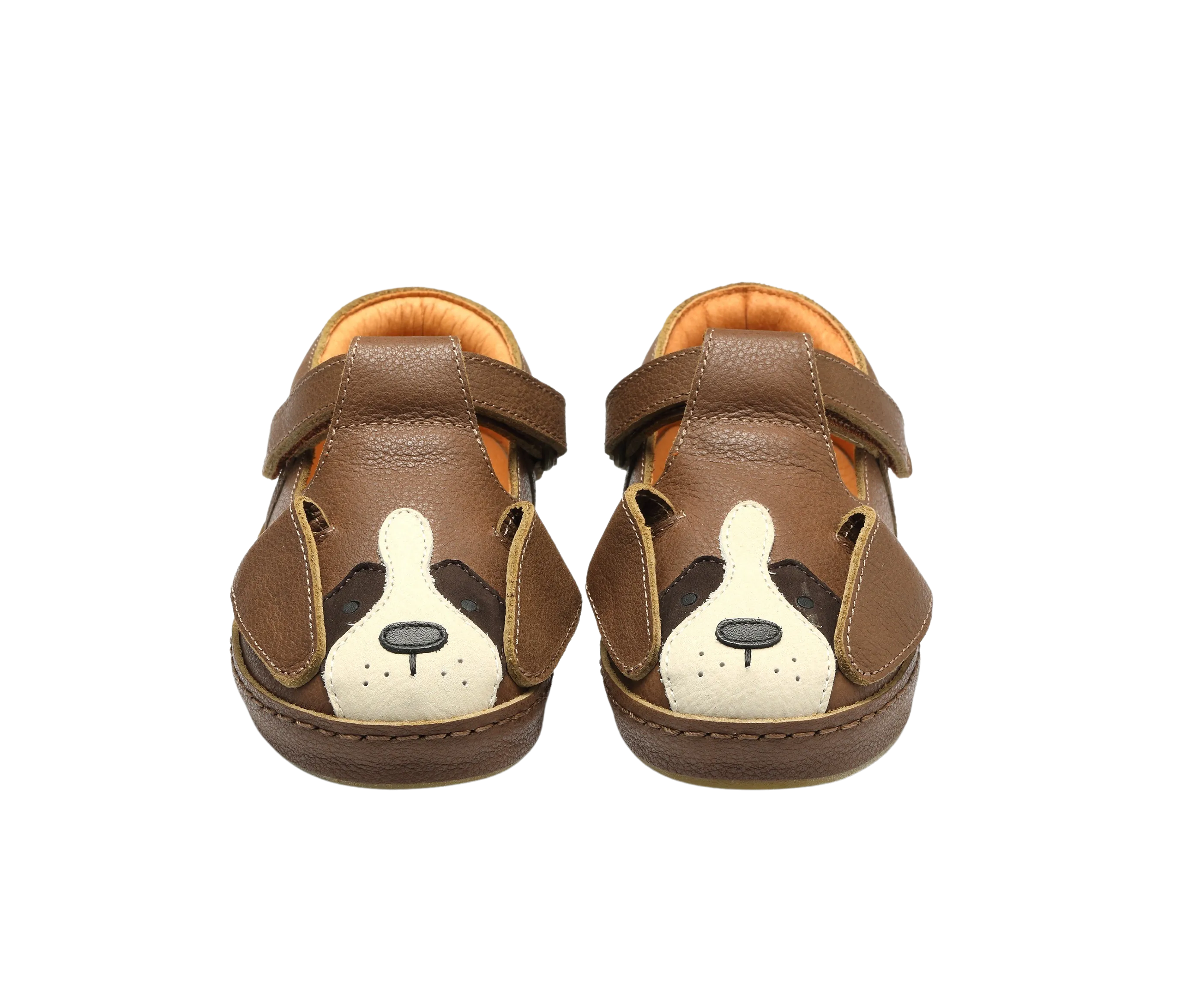 Xan Special | Saint Bernard