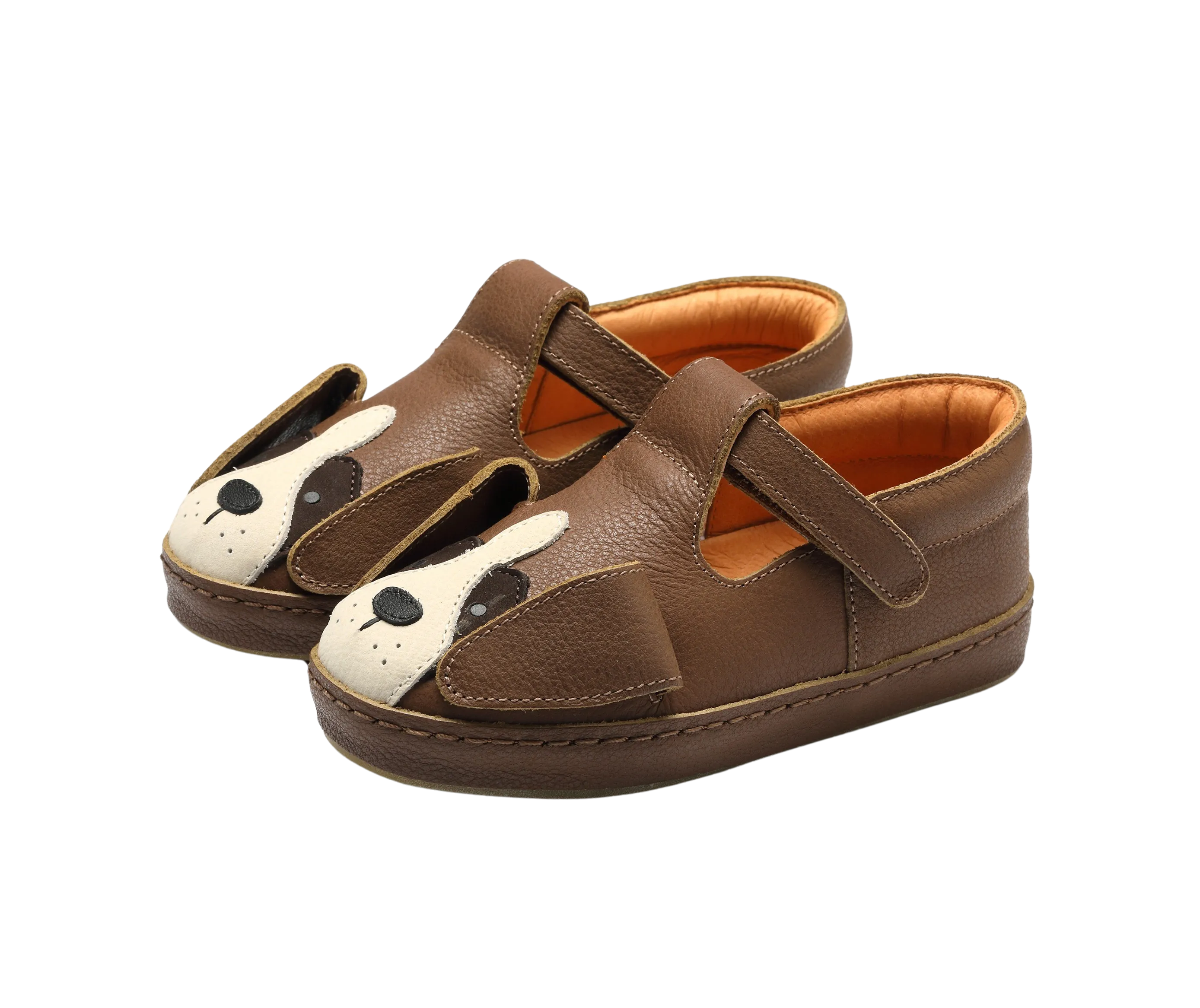 Xan Special | Saint Bernard