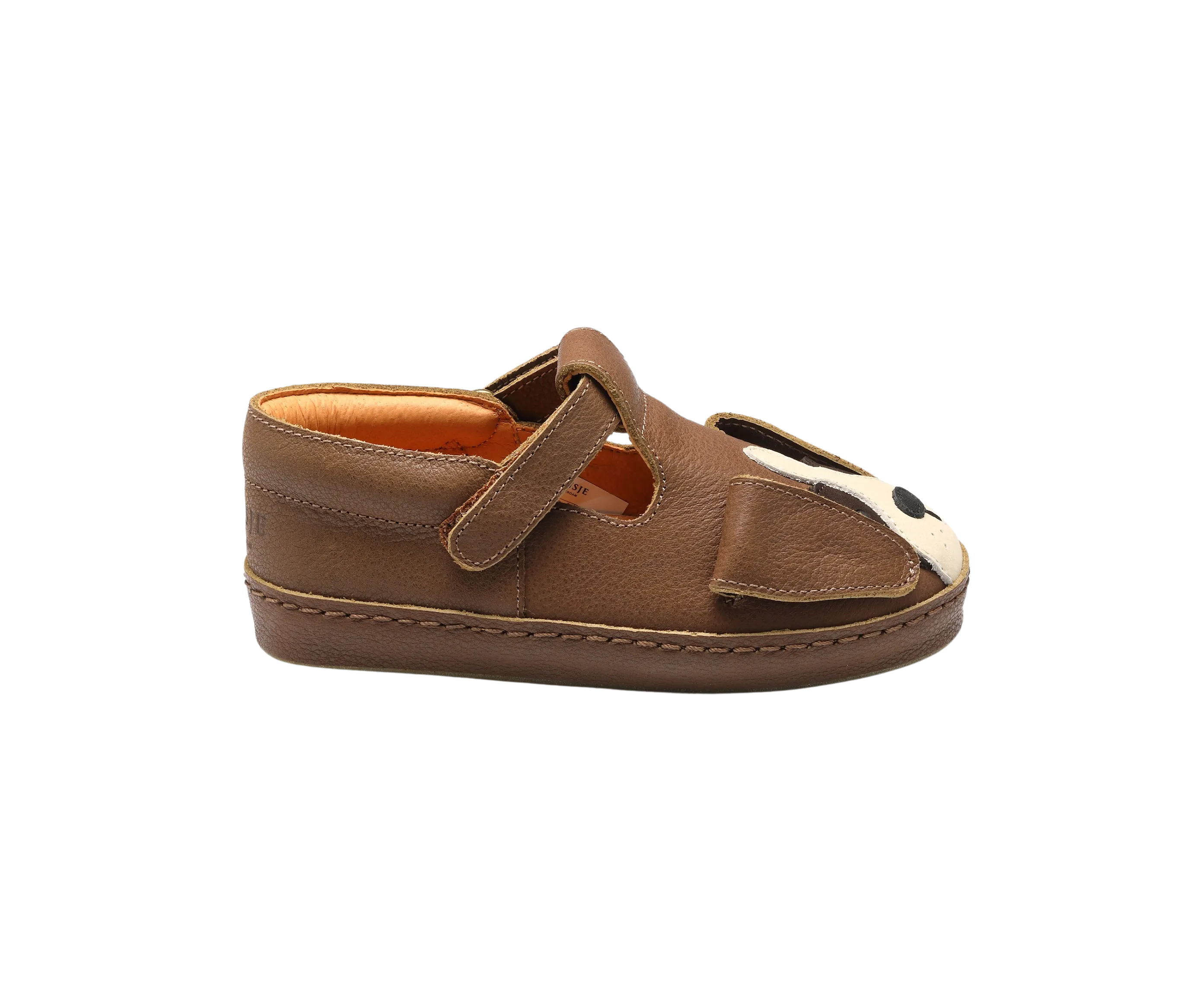 Xan Special | Saint Bernard